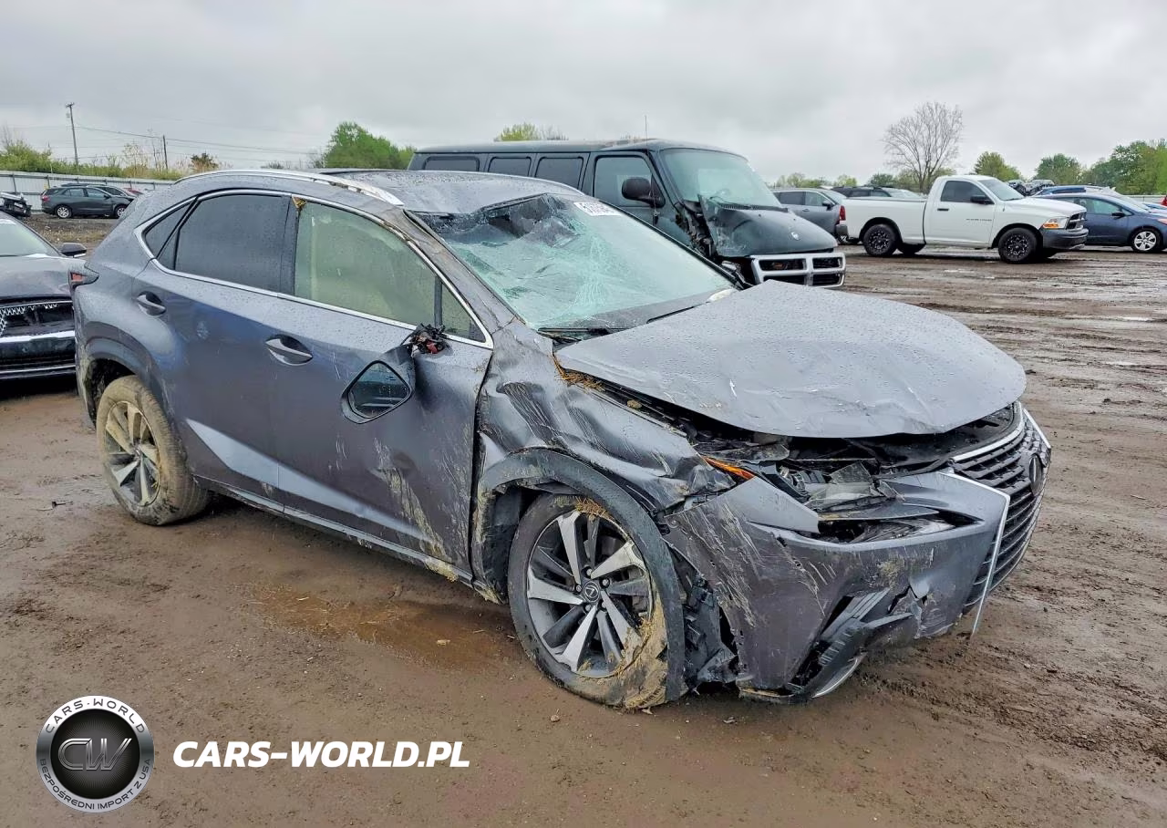 2019 Lexus Nx 300 Base VIN:JTJBARBZXK2196586 - 4