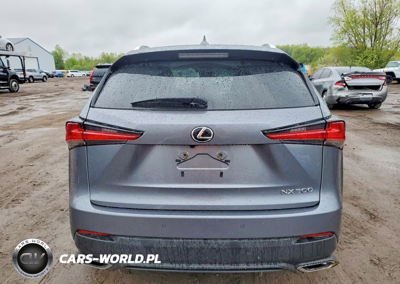 2019 Lexus Nx 300 Base VIN:JTJBARBZXK2196586 - 6