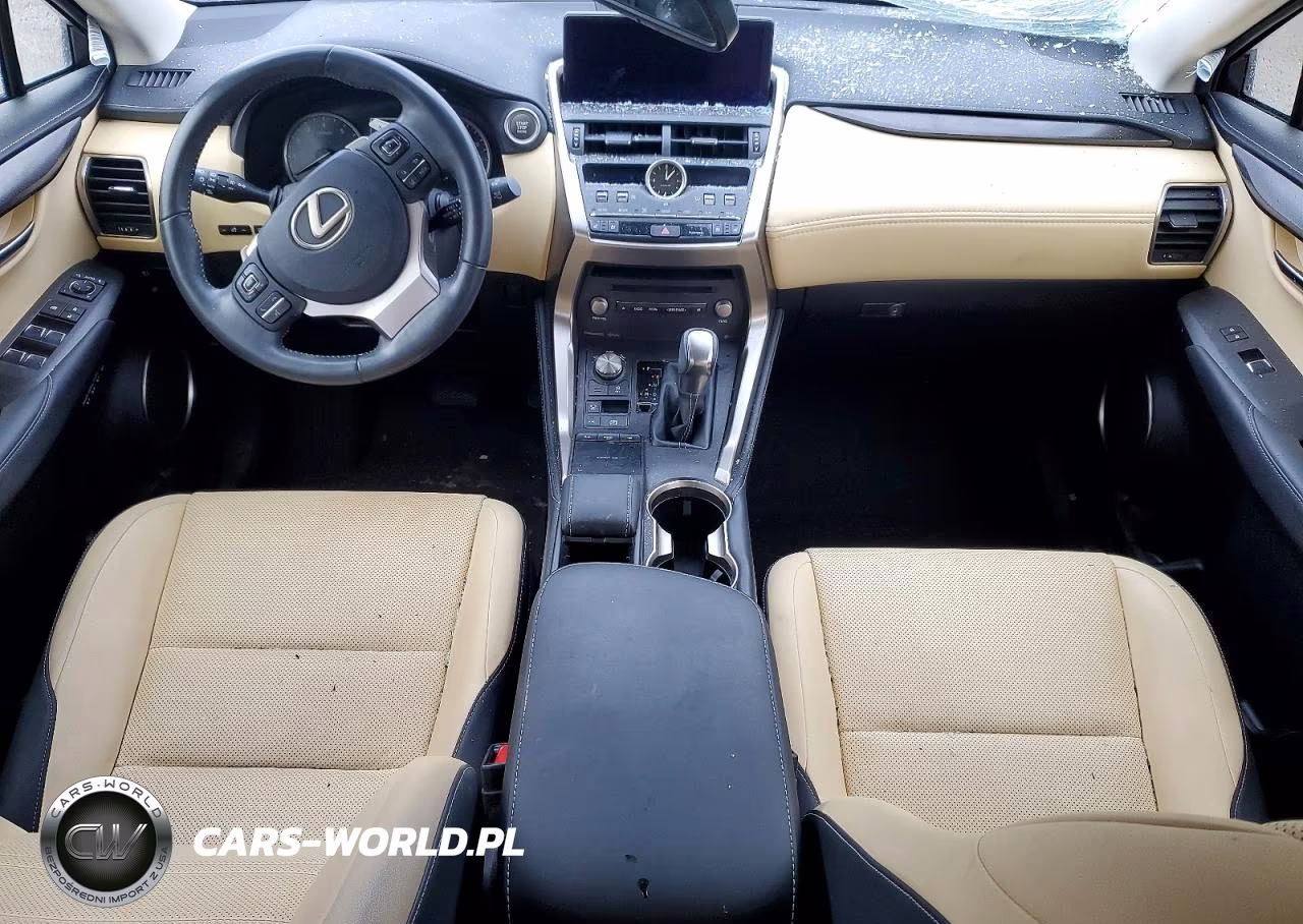 2019 Lexus Nx 300 Base VIN:JTJBARBZXK2196586 - 8