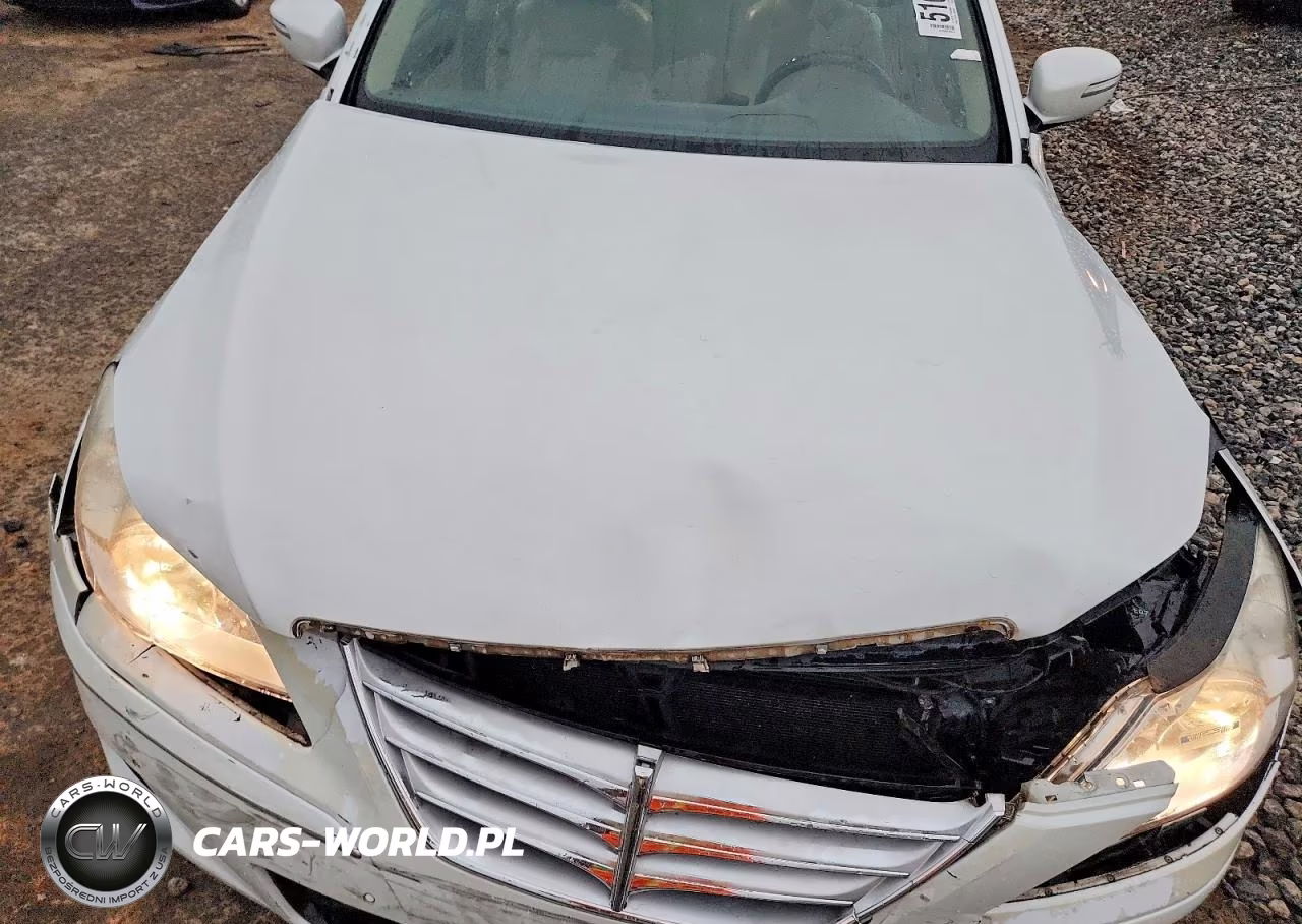 2011 Hyundai Genesis 4.6L VIN:KMHGC4DF2BU139615 - 11