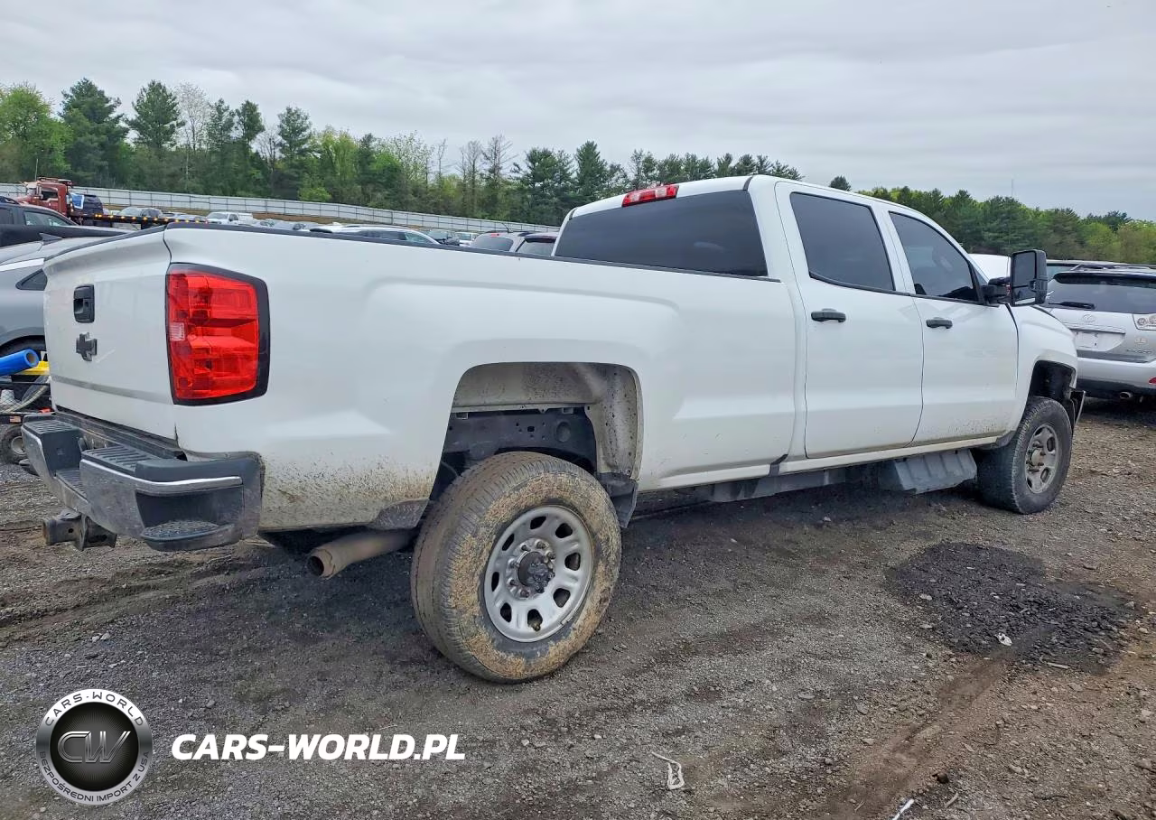 2018 Chevrolet Silverado K2500 Heavy Duty VIN:1GC1KUEY5JF248070 - 3