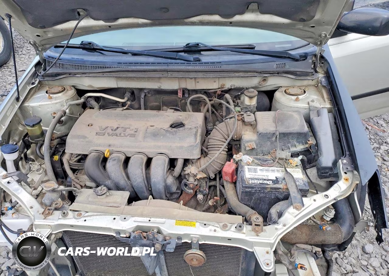 2003 Toyota Corolla Ce VIN:JTDBR32E232013222 - 11