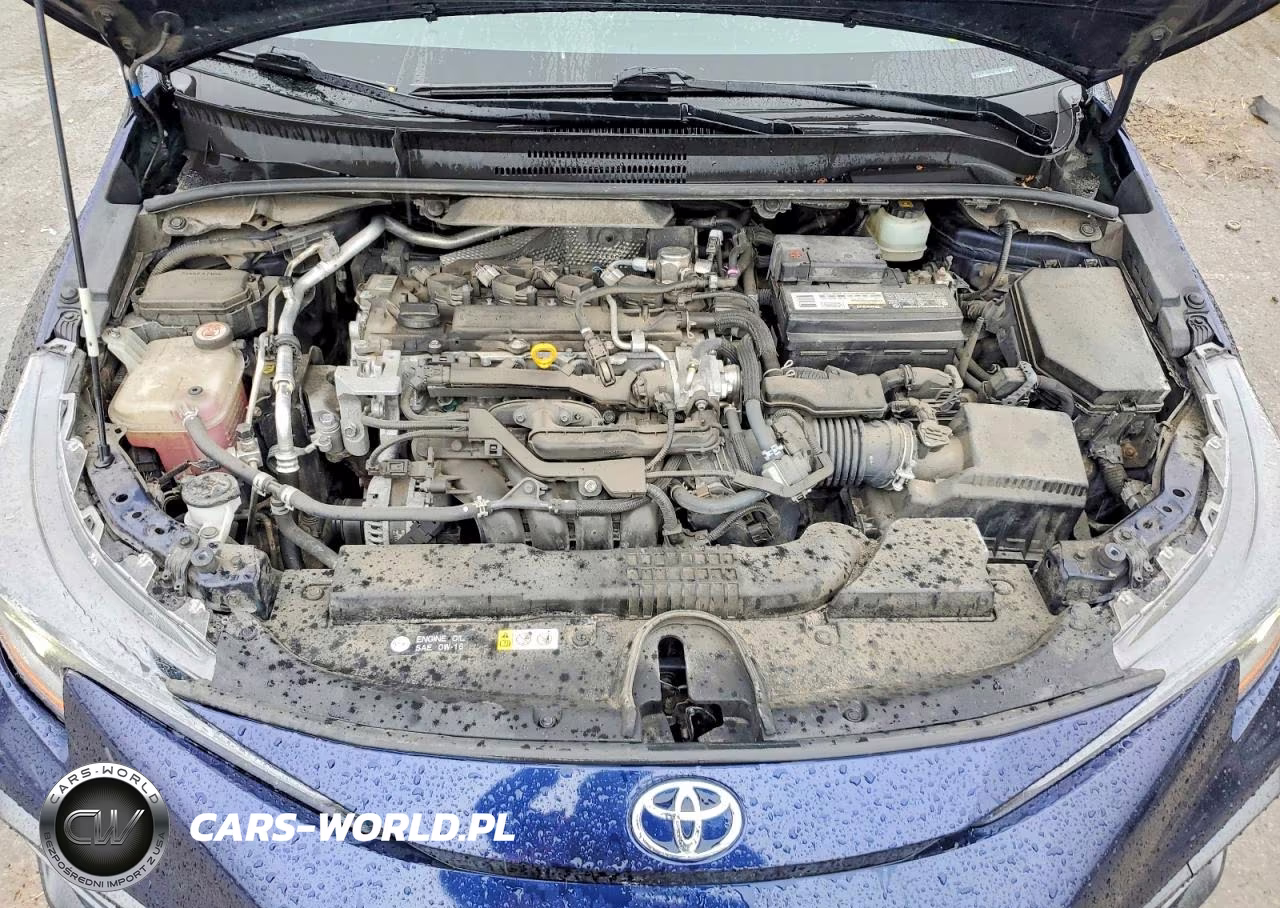 2020 Toyota Corolla Se VIN:JTDS4RCE1LJ004579 - 11