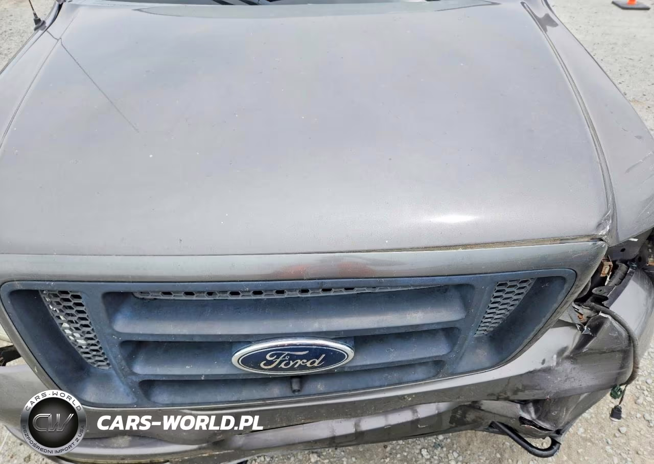 2005 Ford F150 VIN:1FTPX14505KB96992 - 11