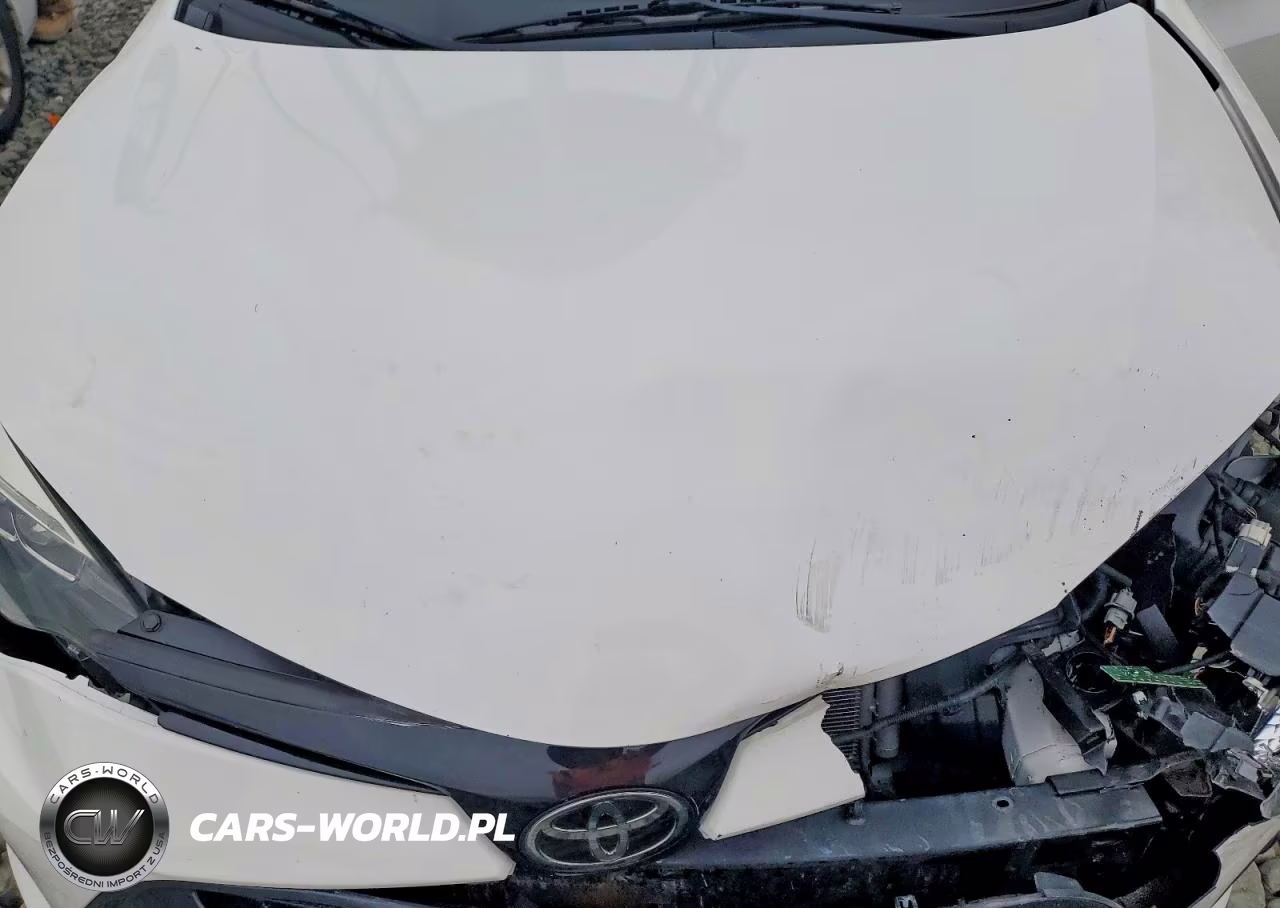 2019 Toyota Corolla Se VIN:2T1BURHE4KC143673 - 11