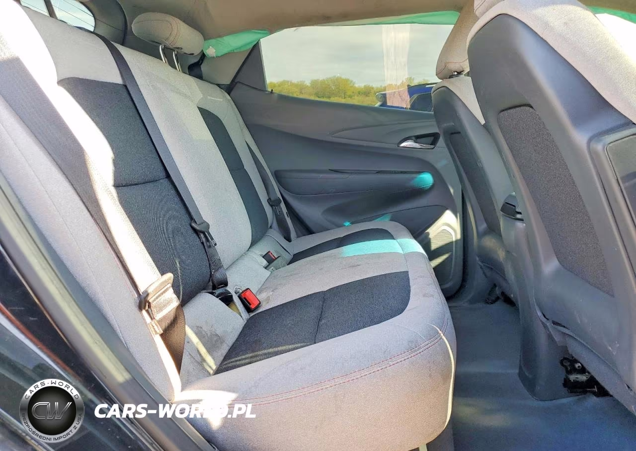 2018 Chevrolet Bolt Ev Lt VIN:1G1FW6S00J4120084 - 10