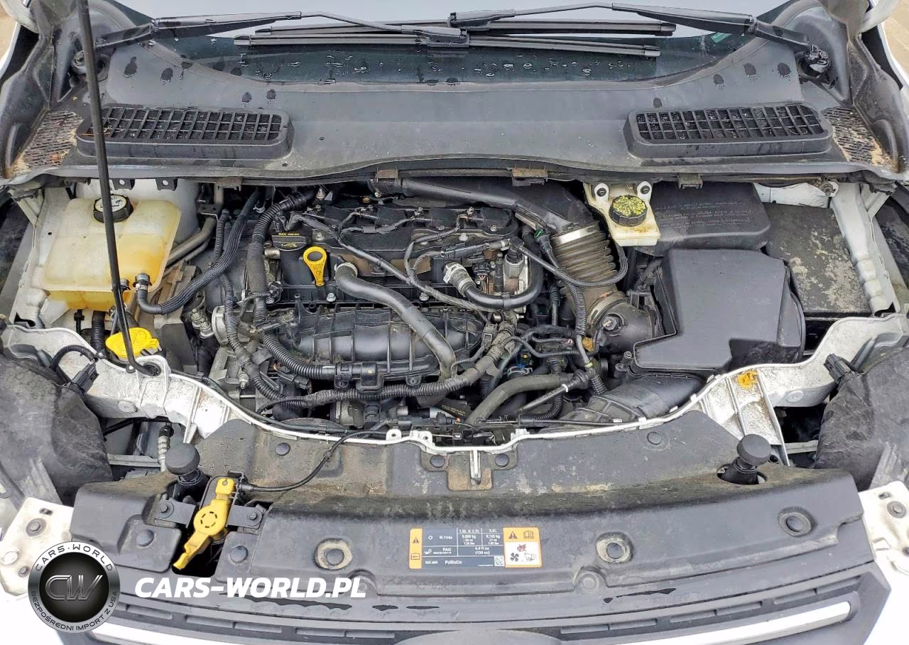 2014 Ford Escape Se VIN:1FMCU0GX0EUD98469 - 12