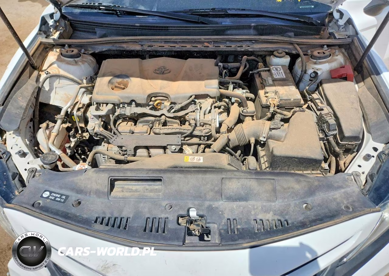 2019 Toyota Camry Se VIN:4T1B11HKXKU779934 - 12