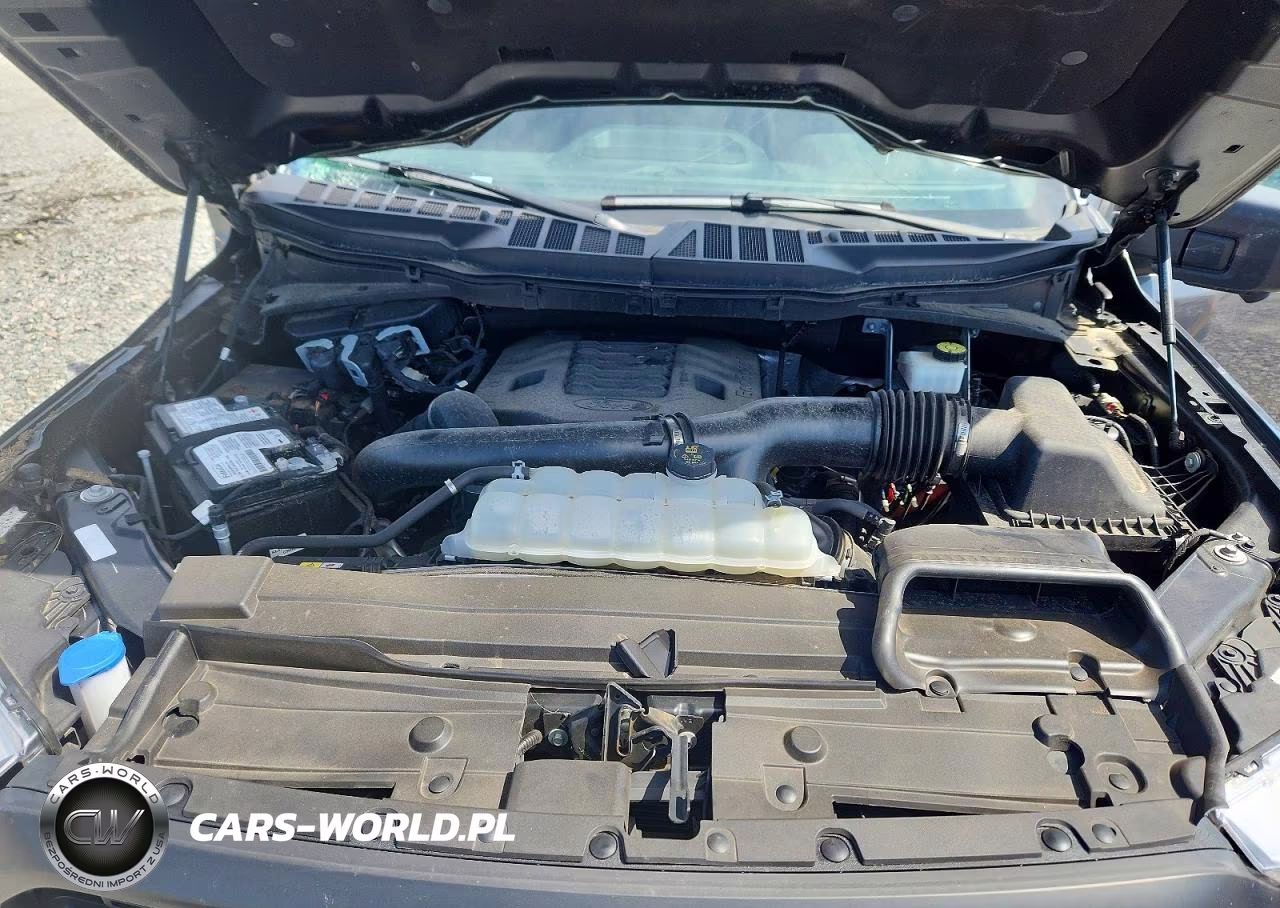 2023 Ford F150 Supercrew VIN:1FTFW1E81PFA49874 - 11