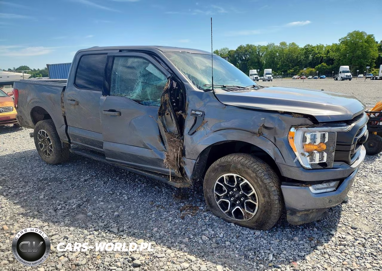 2023 Ford F150 Supercrew VIN:1FTFW1E81PFA49874 - 4