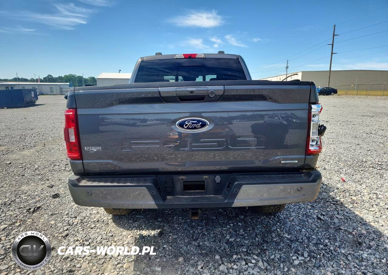2023 Ford F150 Supercrew VIN:1FTFW1E81PFA49874 - 6