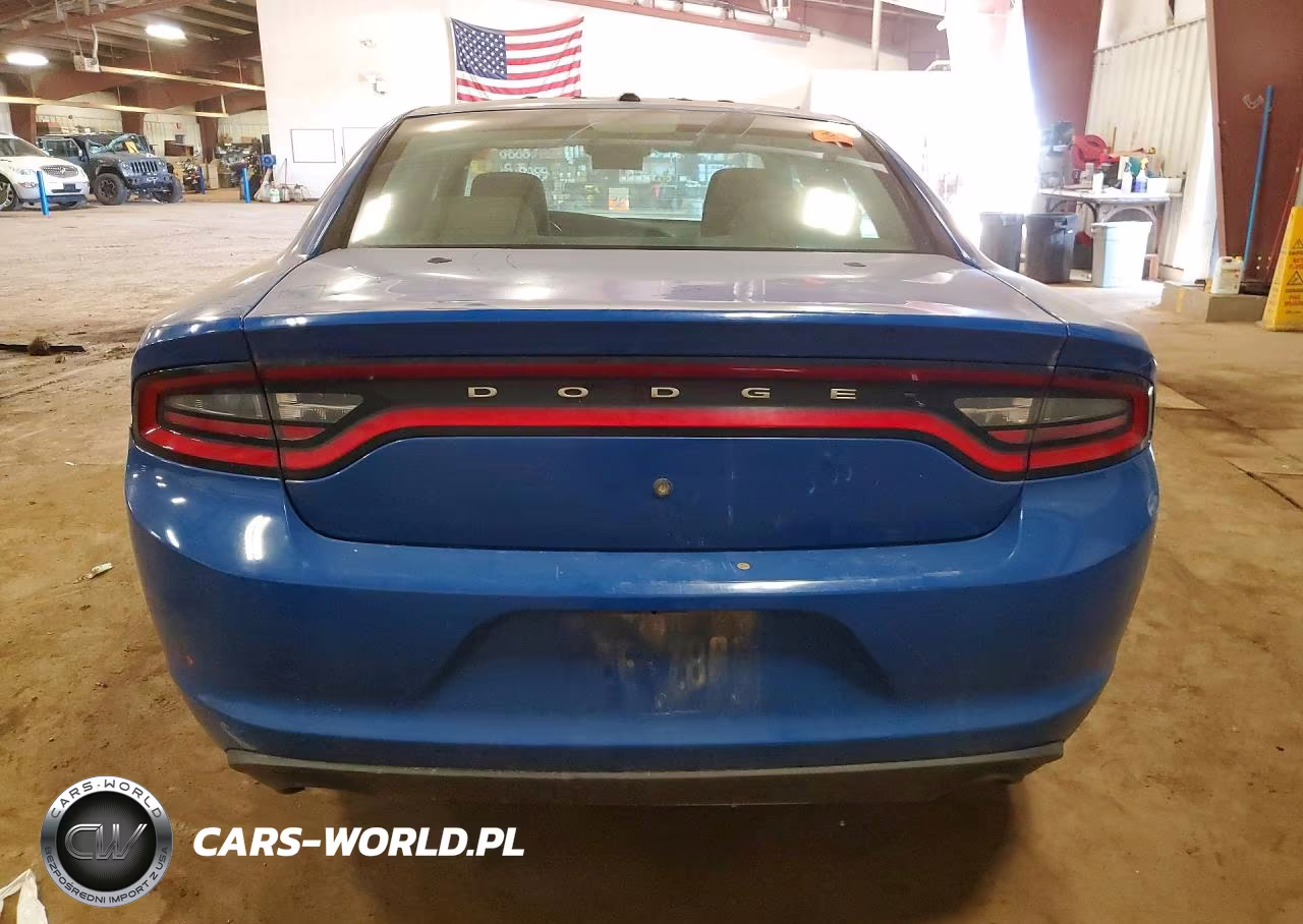 2015 Dodge Charger Police VIN:2C3CDXKT8FH806341 - 6