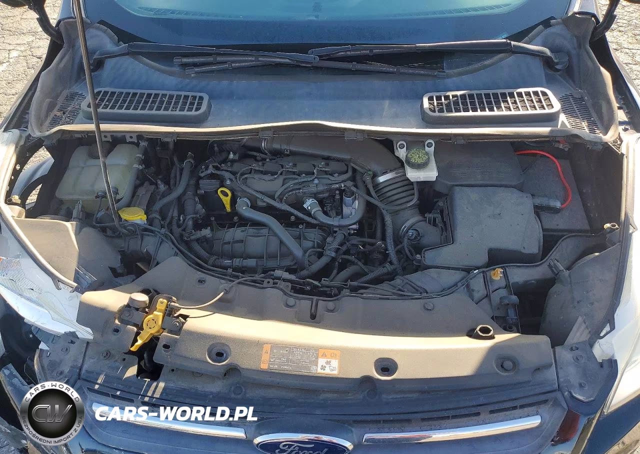 2014 Ford Escape Se VIN:1FMCU0GX8EUA77568 - 12