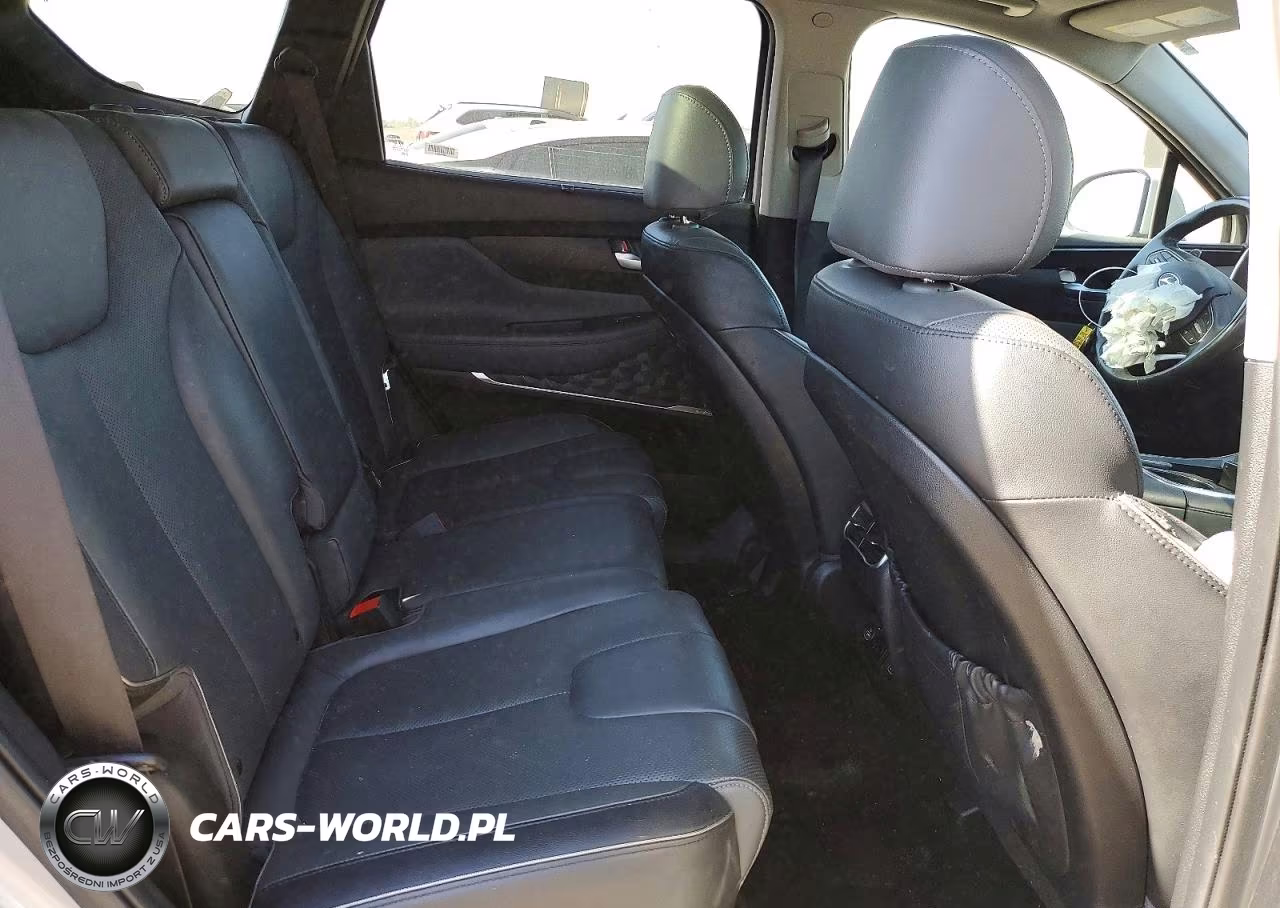 2023 Hyundai Santa Fe Limited VIN:5NMS4DAL2PH531983 - 10