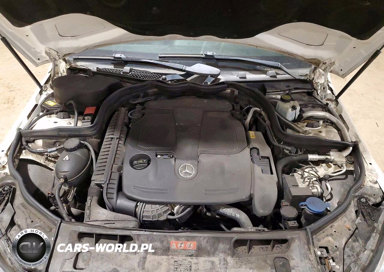 2013 Mercedes-Benz C 300 4Matic VIN:WDDGF8AB7DA829584 - 11