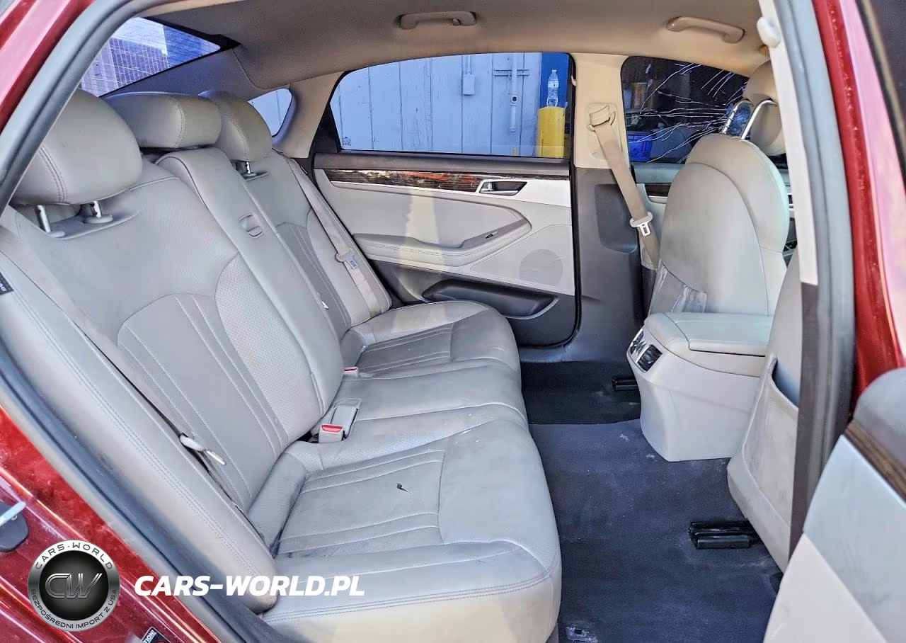 2015 Hyundai Genesis 3.8L VIN:KMHGN4JE2FU033886 - 10