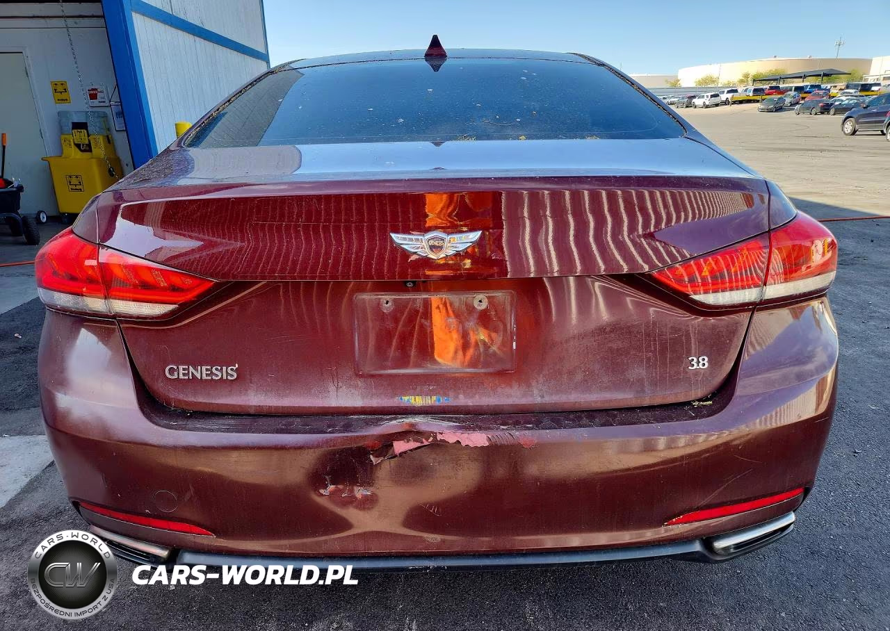 2015 Hyundai Genesis 3.8L VIN:KMHGN4JE2FU033886 - 6
