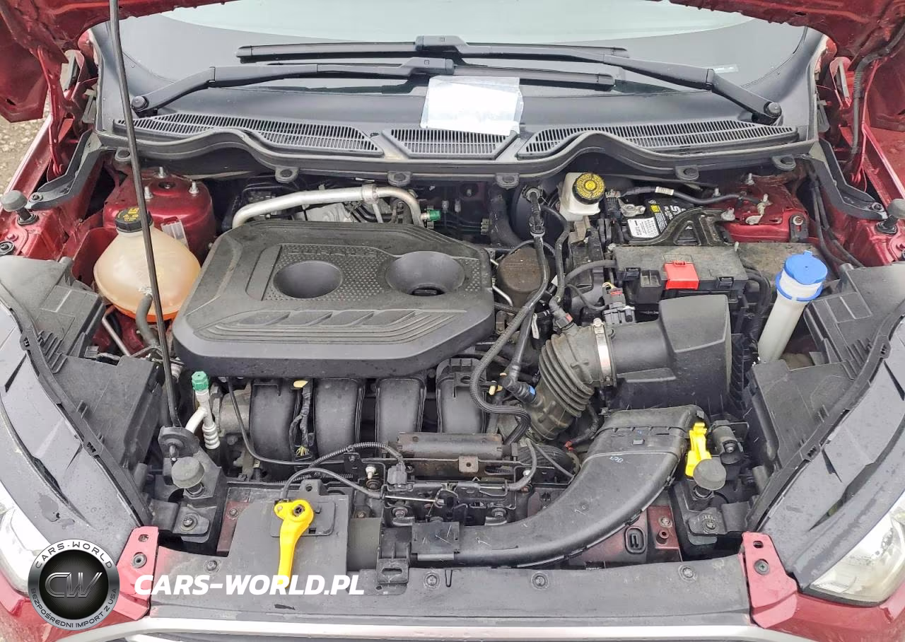 2020 Ford Ecosport Se VIN:MAJ6S3GL0LC346919 - 12