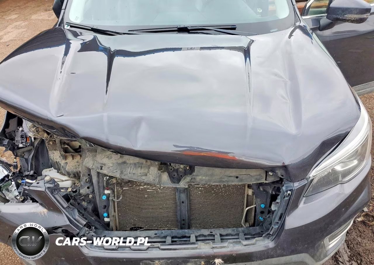 2019 Subaru Forester Limited VIN:JF2SKASC5KH409214 - 11