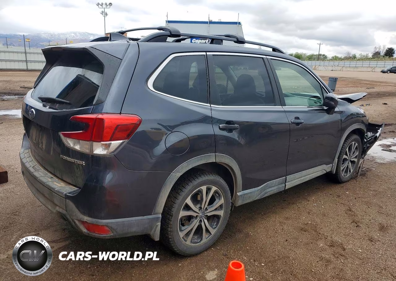 2019 Subaru Forester Limited VIN:JF2SKASC5KH409214 - 3