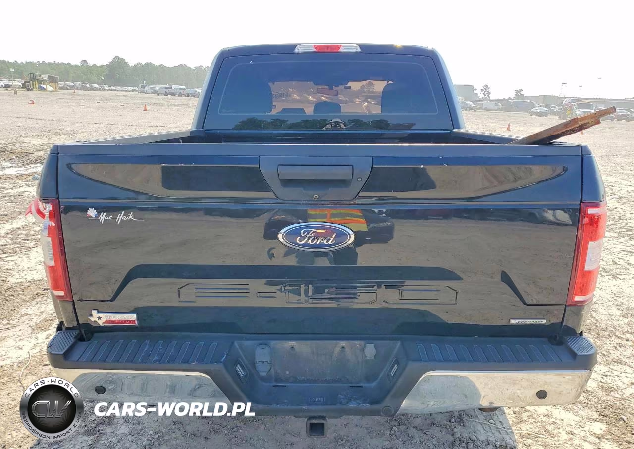 2020 Ford F150 Supercrew VIN:1FTEW1CP9LFC58408 - 6