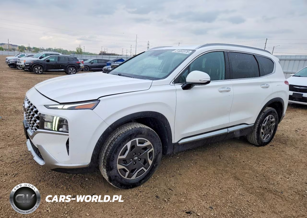 2021 Hyundai Santa Fe Blue