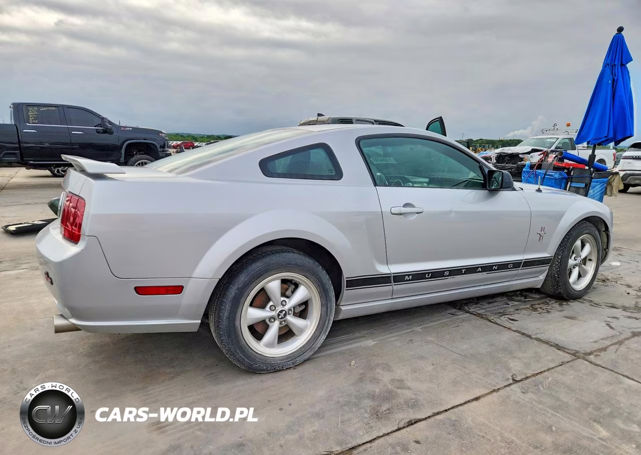 2006 Ford Mustang VIN:1ZVFT80N565131218 - 3