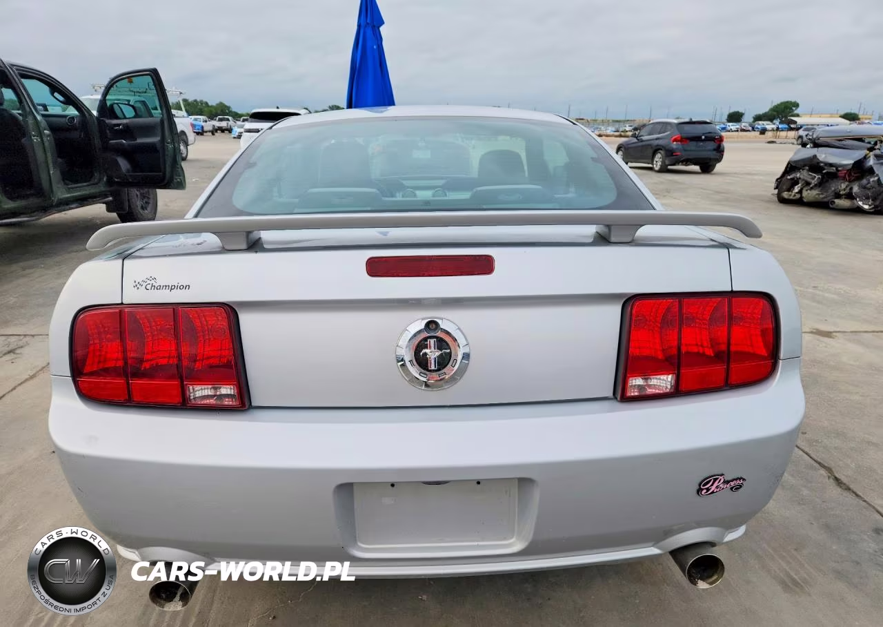 2006 Ford Mustang VIN:1ZVFT80N565131218 - 6