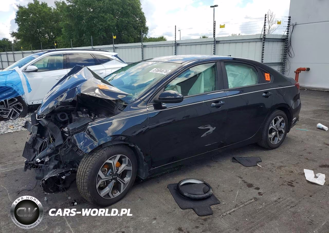 2019 Kia Forte Lxs