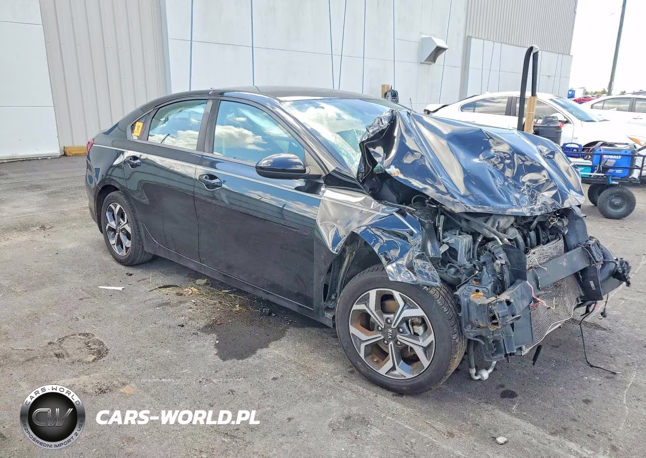 2019 Kia Forte Lxs VIN:3KPF24AD2KE095801 - 4