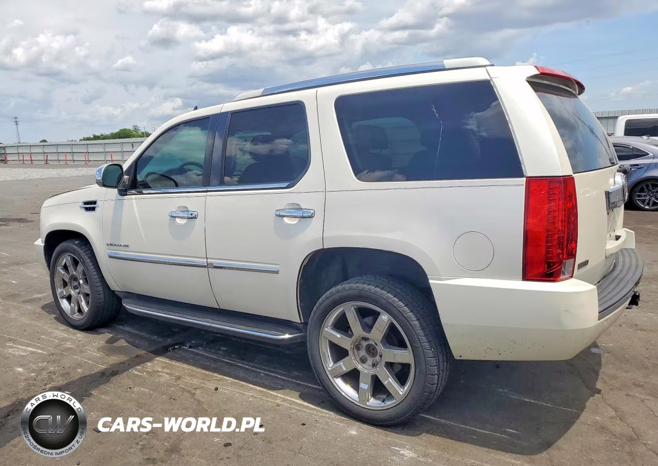 2010 Cadillac Escalade Luxury VIN:1GYUKBEF5AR279182 - 2