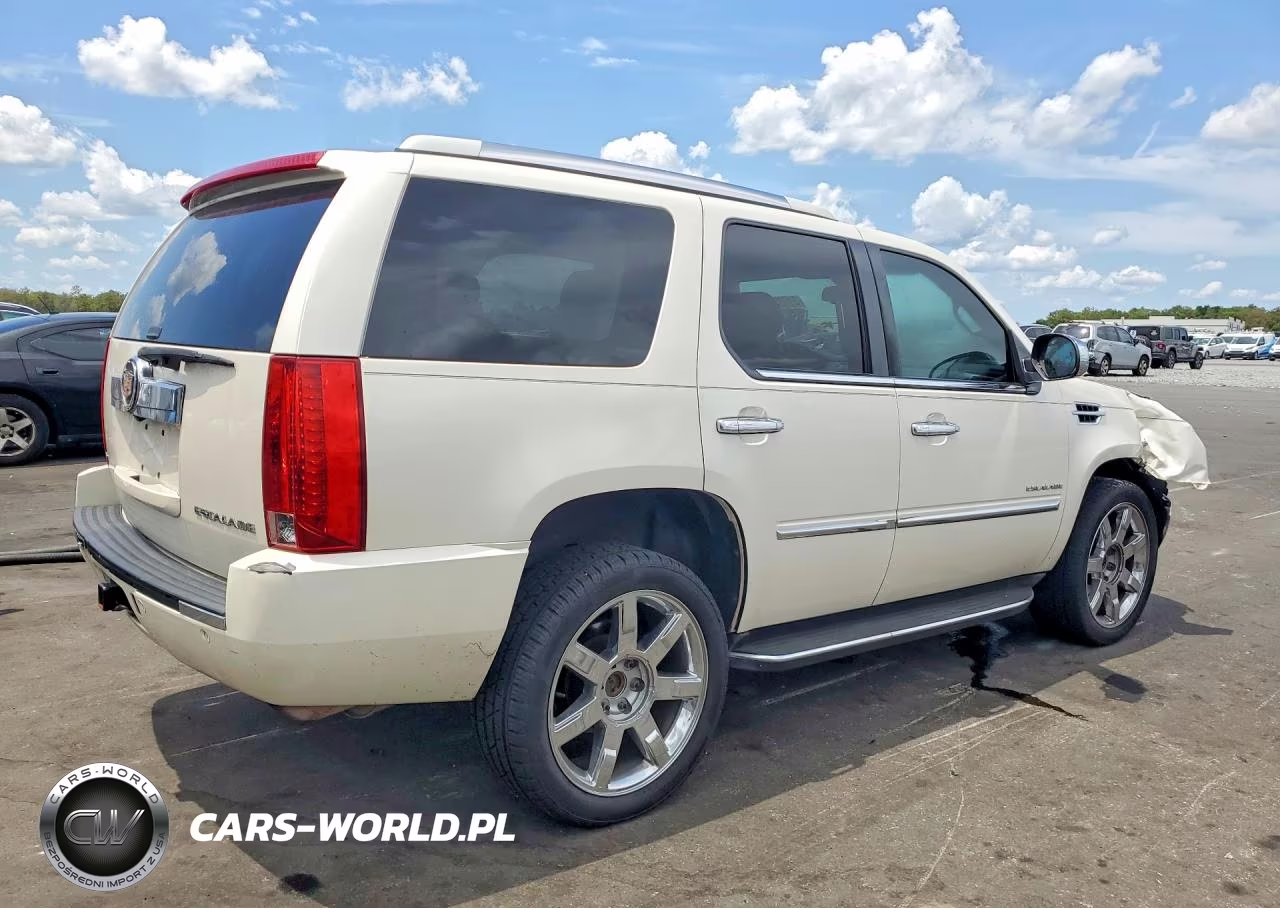 2010 Cadillac Escalade Luxury VIN:1GYUKBEF5AR279182 - 3