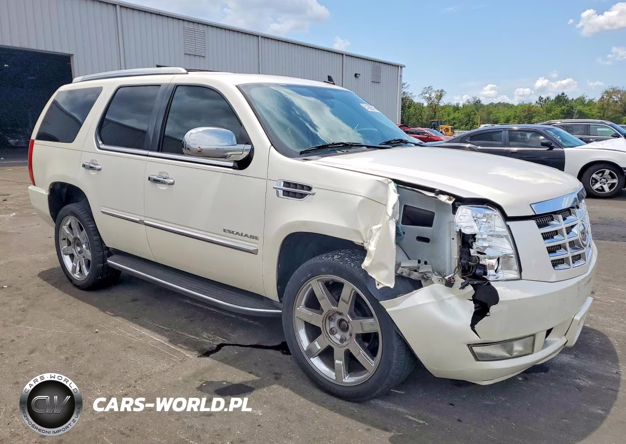 2010 Cadillac Escalade Luxury VIN:1GYUKBEF5AR279182 - 4