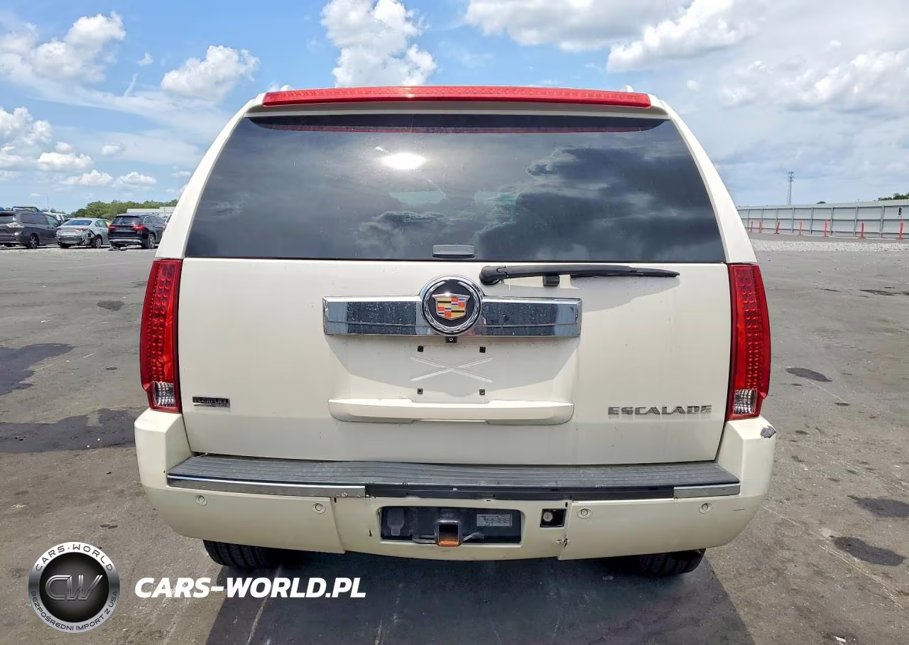 2010 Cadillac Escalade Luxury VIN:1GYUKBEF5AR279182 - 6