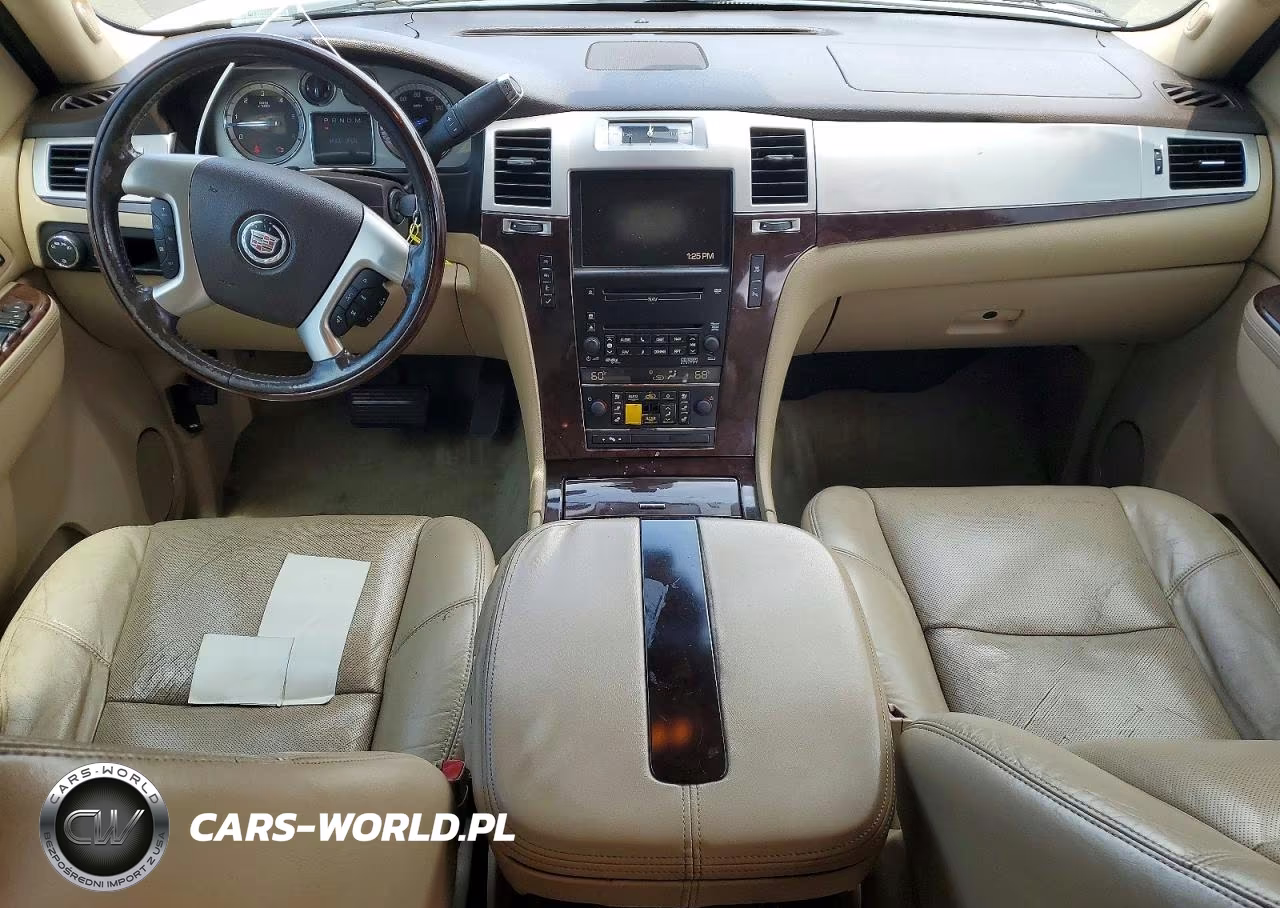 2010 Cadillac Escalade Luxury VIN:1GYUKBEF5AR279182 - 8