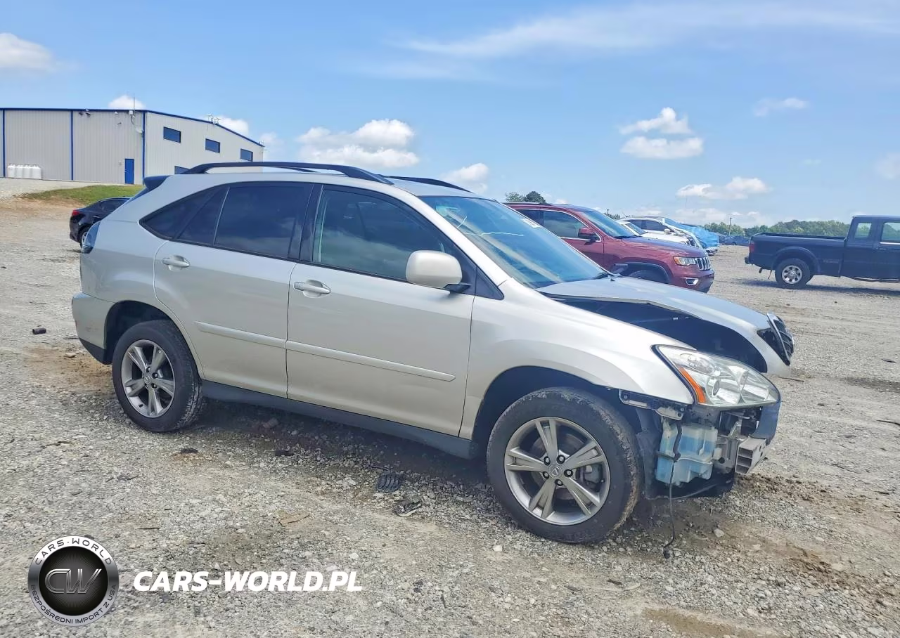 2006 Lexus Rx 400 VIN:JTJHW31U462004308 - 4