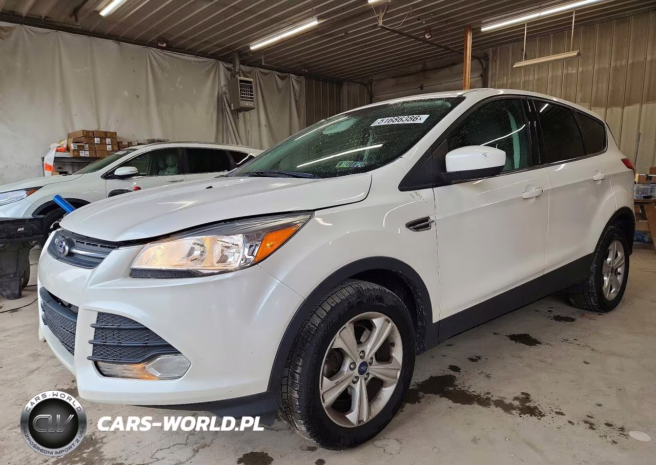 2013 Ford Escape Se