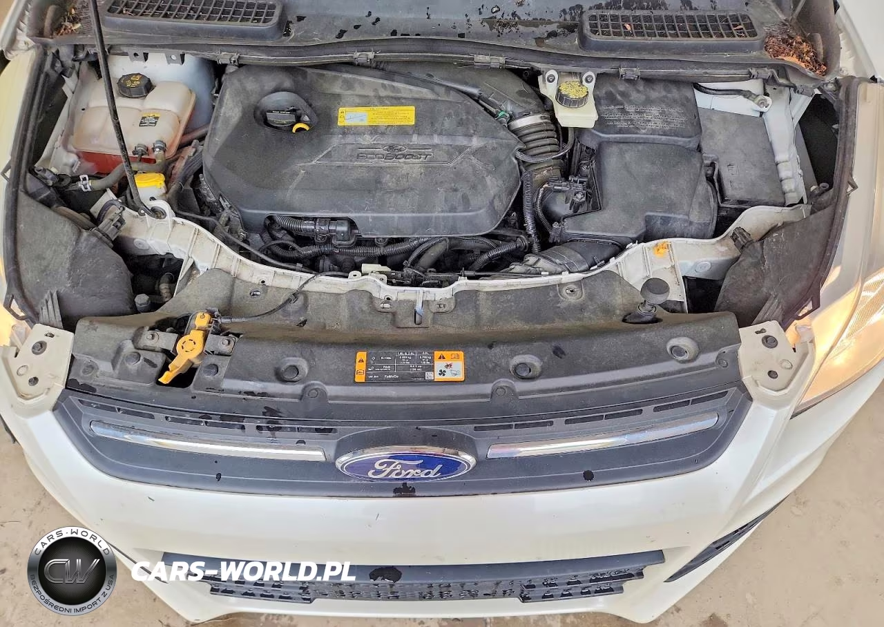2013 Ford Escape Se VIN:1FMCU9GX4DUB77007 - 12