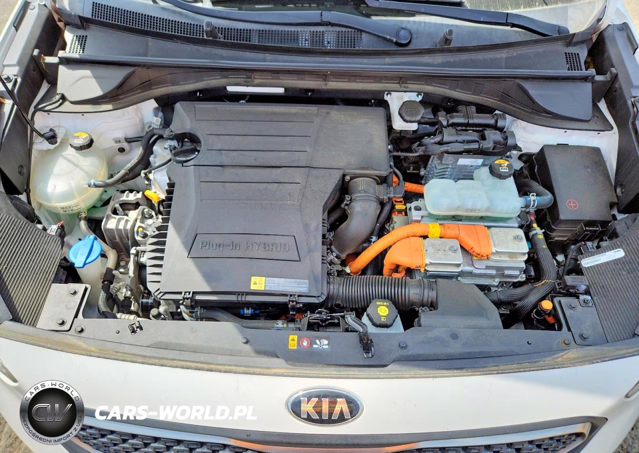 2019 Kia Niro Lx VIN:KNDCM3LDXK5220799 - 11