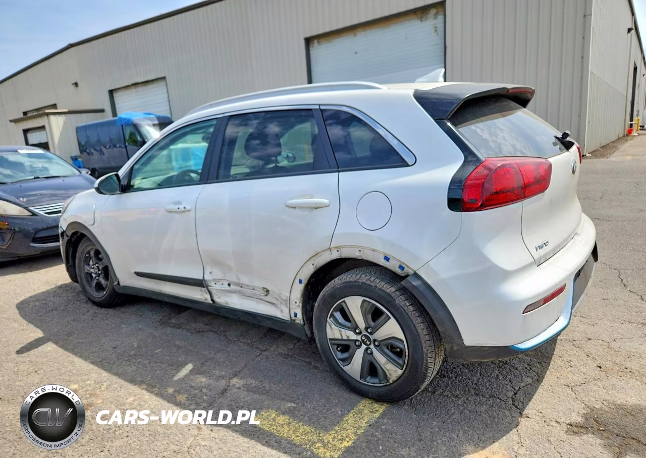 2019 Kia Niro Lx VIN:KNDCM3LDXK5220799 - 2