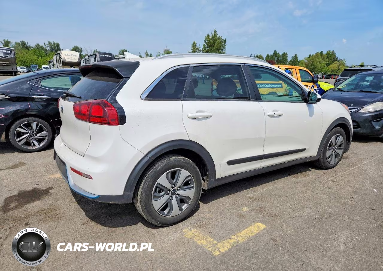 2019 Kia Niro Lx VIN:KNDCM3LDXK5220799 - 3