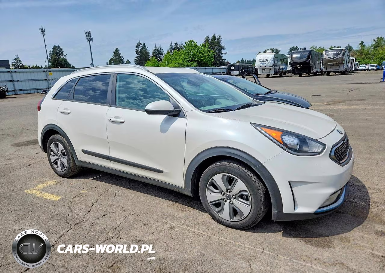 2019 Kia Niro Lx VIN:KNDCM3LDXK5220799 - 4