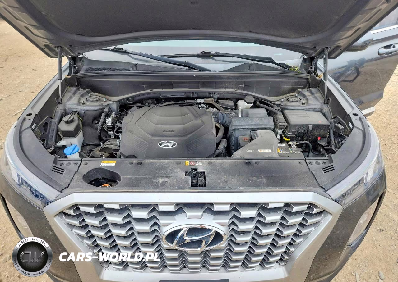 2021 Hyundai Palisade VIN:KM8R1DHE5MU201804 - 12