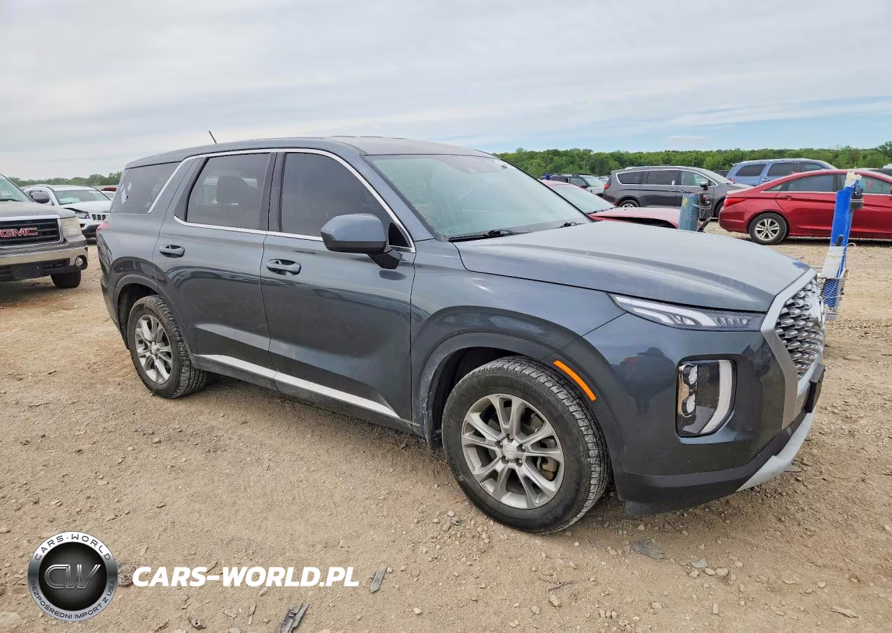 2021 Hyundai Palisade VIN:KM8R1DHE5MU201804 - 4