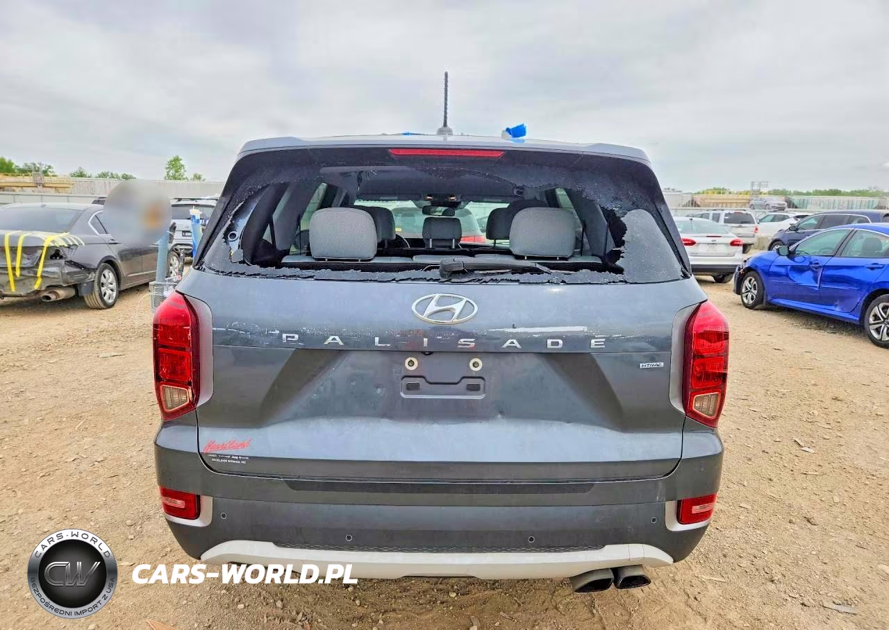 2021 Hyundai Palisade VIN:KM8R1DHE5MU201804 - 6