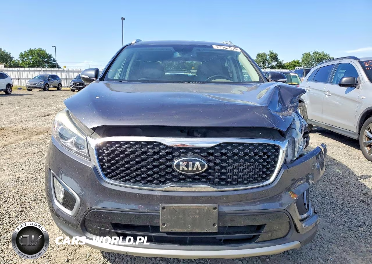 2016 Kia Sorento Ex VIN:5XYPH4A18GG031474 - 5