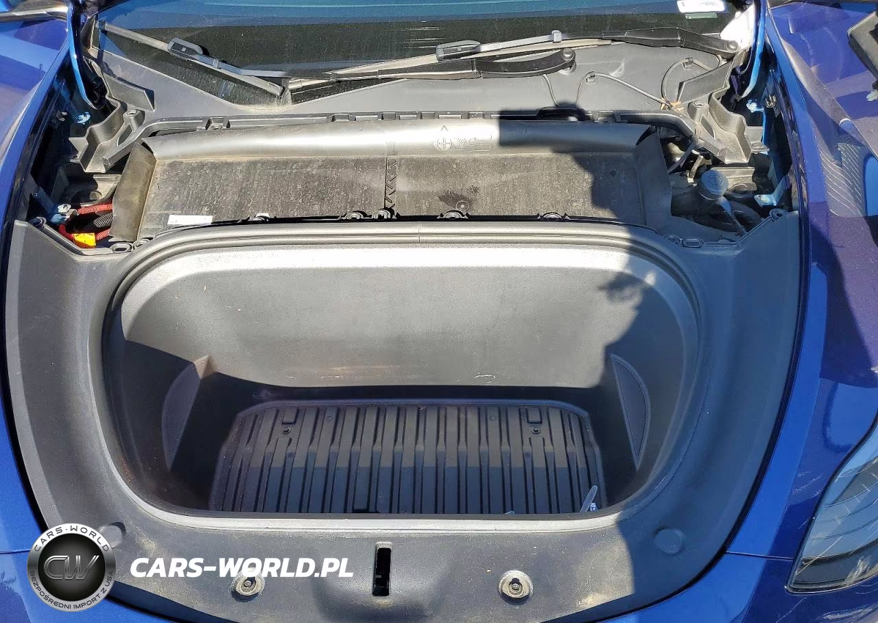 2024 Tesla Model Y VIN:7SAYGDEF9RF154551 - 11