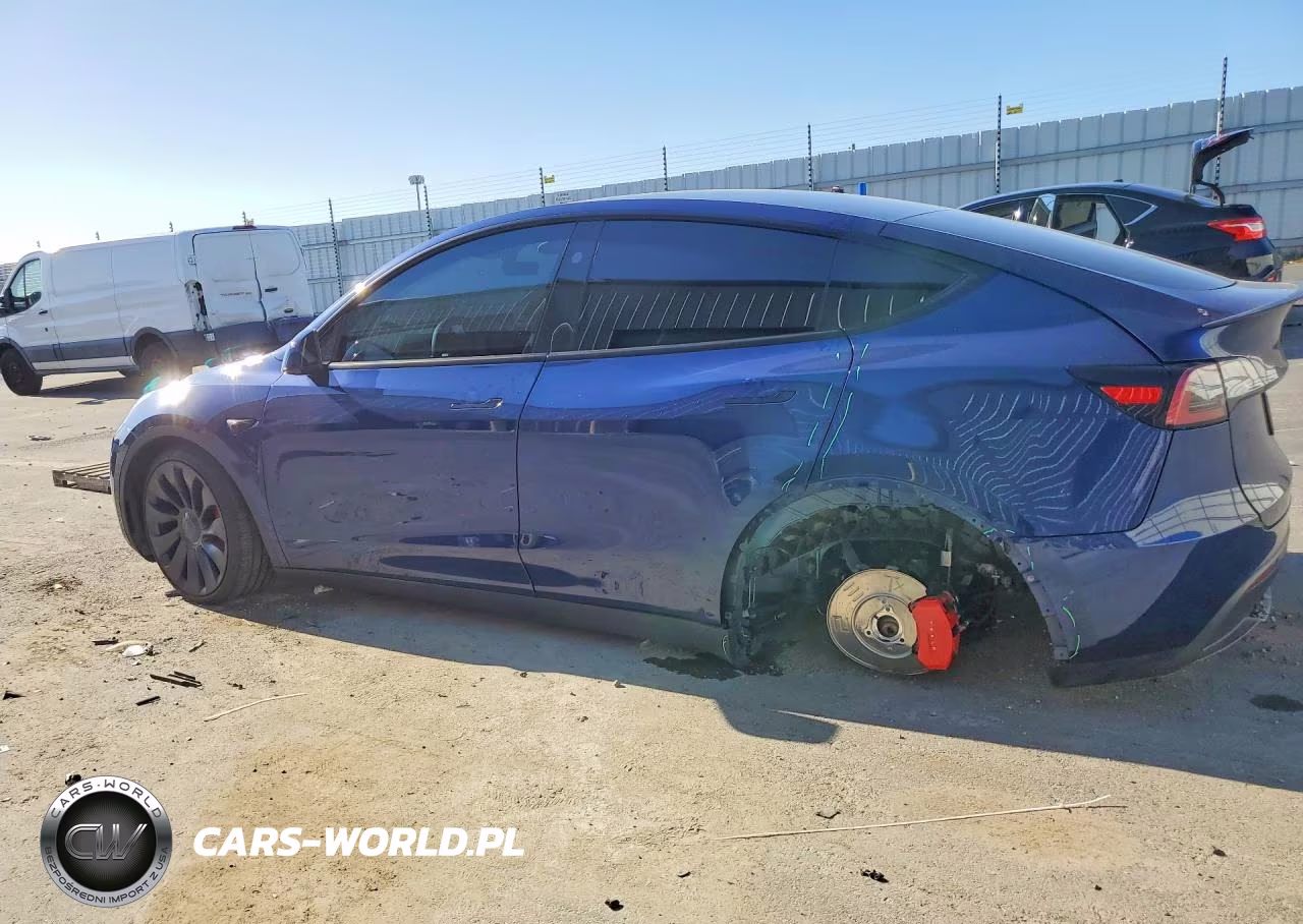 2024 Tesla Model Y VIN:7SAYGDEF9RF154551 - 2