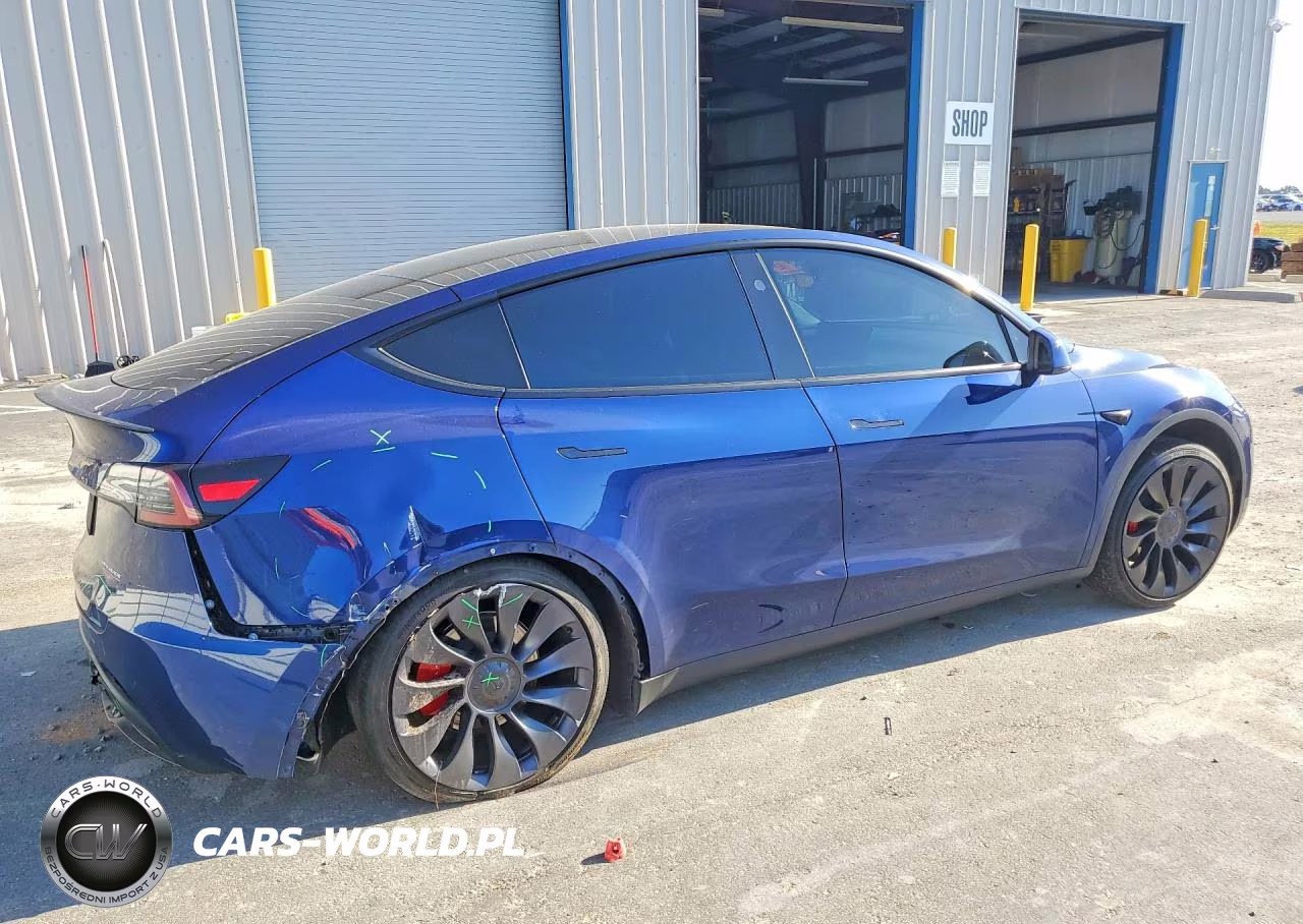 2024 Tesla Model Y VIN:7SAYGDEF9RF154551 - 3