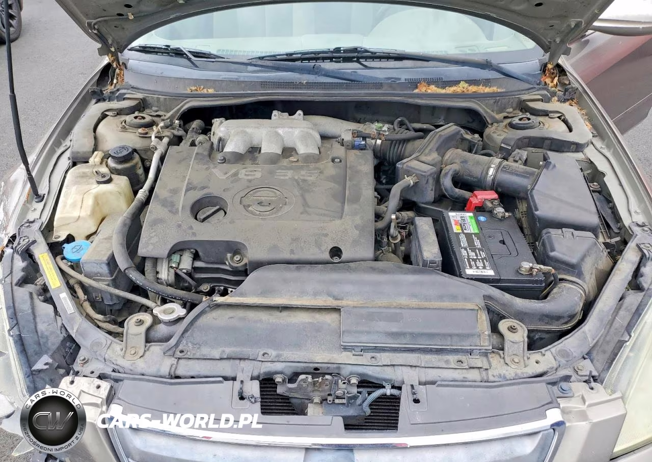 2003 Nissan Altima Se VIN:1N4BL11D83C287524 - 11